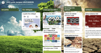 Padlet des actions menées pour le développement durable